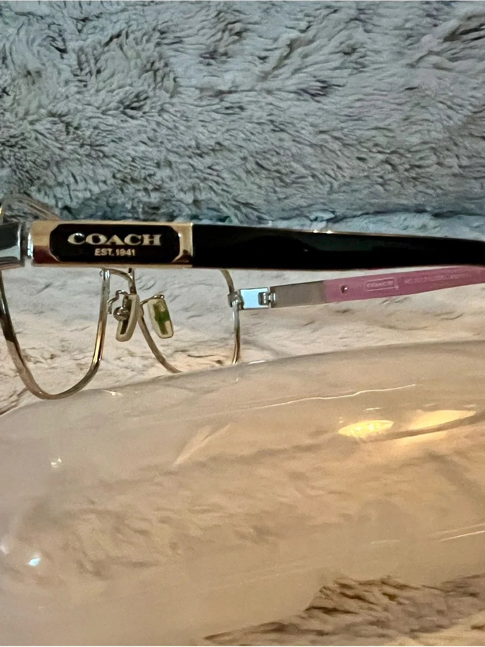 Coach Silver Frame Eyeglasses